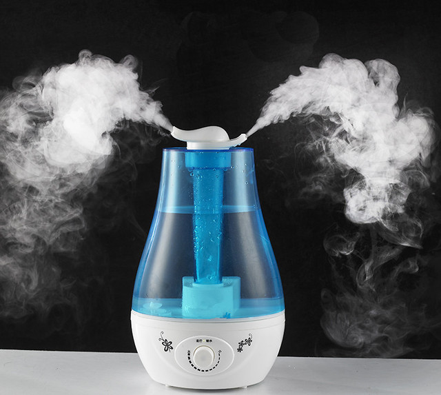 Article Title: The Comprehensive Guide to the Warm & Cool Mist Humidifier