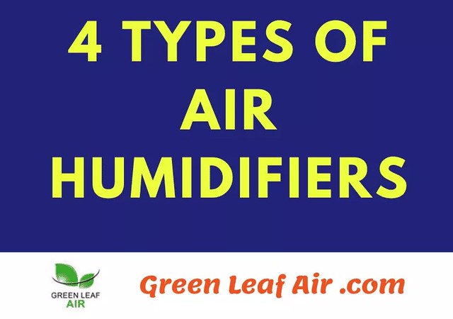 Warm & Cool Mist Humidifier: The All-Seasons Moisture Machine